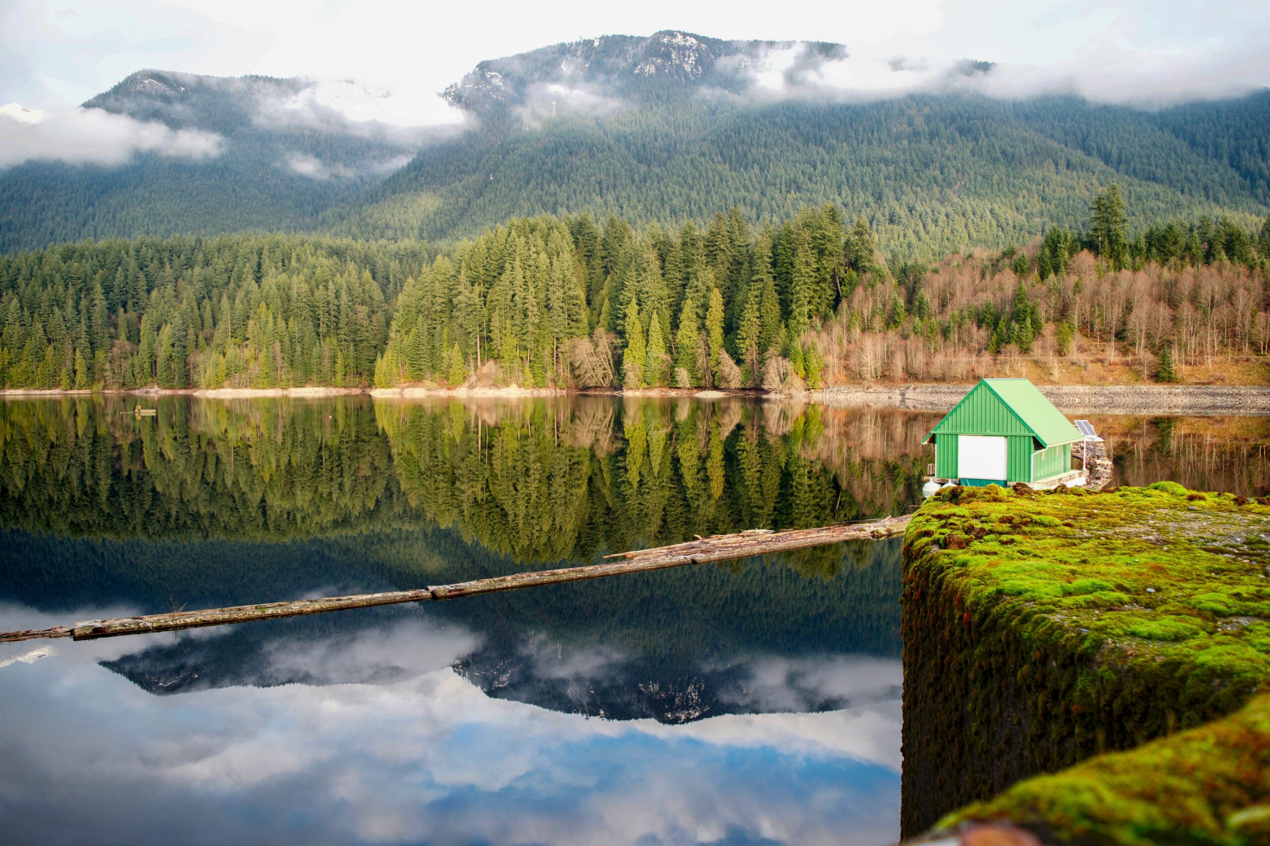 Serene nature landscape